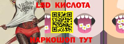 spice Моздок